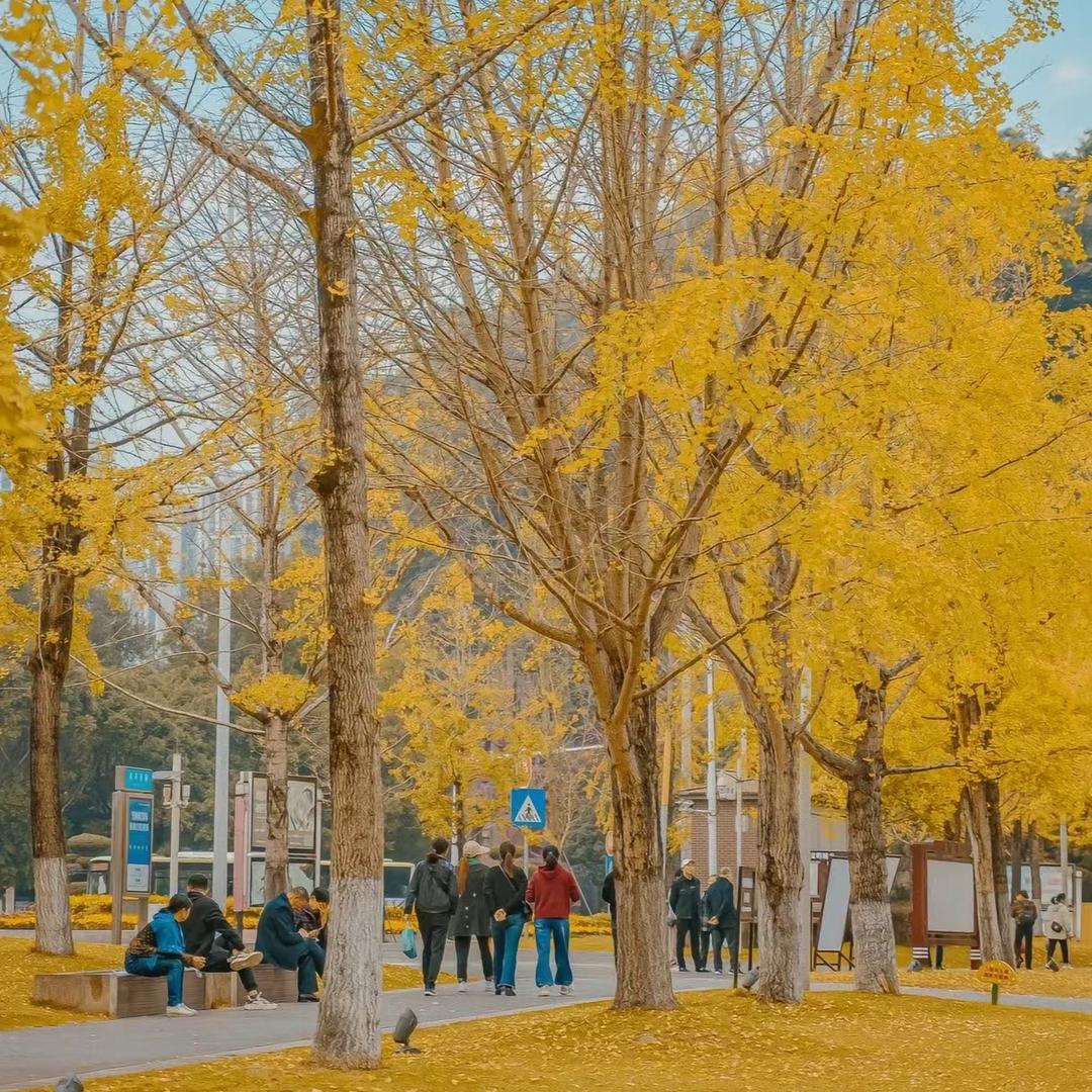 MENGEN日常