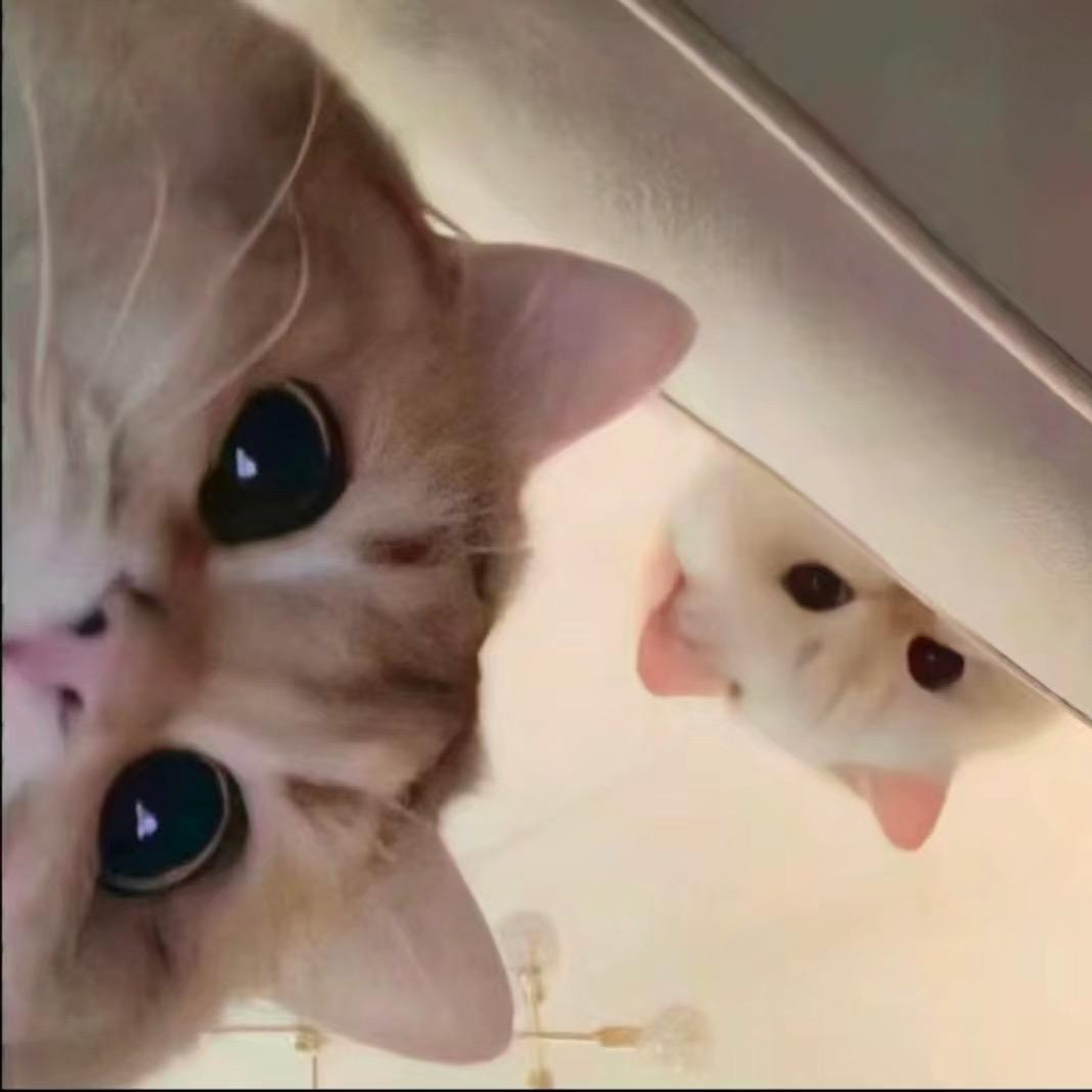 潇鸣·