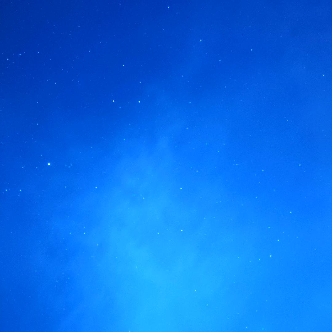 情未了