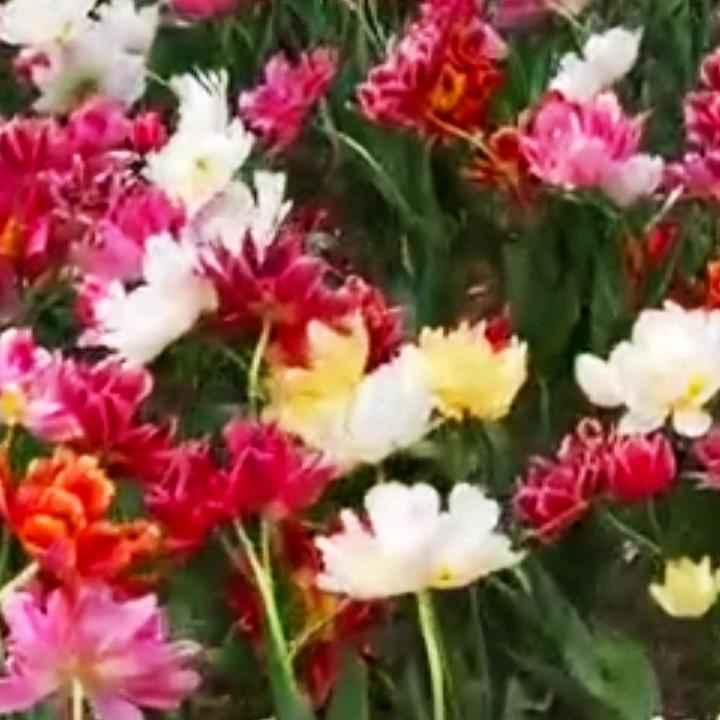 柔和每一天