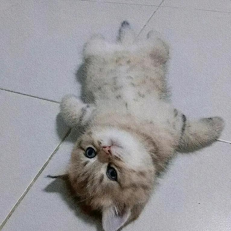 豆豉排骨蒸苦瓜