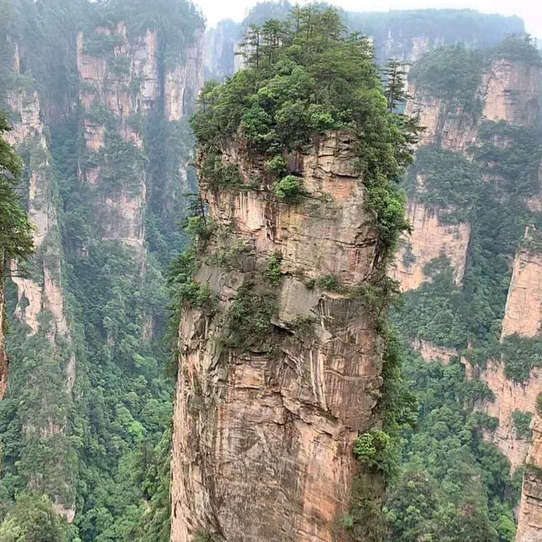 鹰击长空