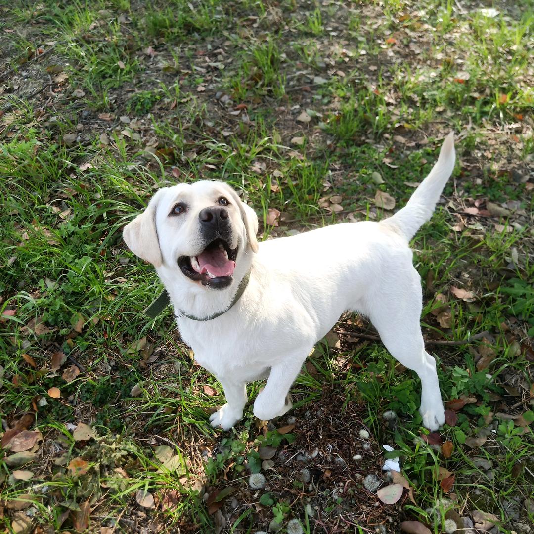 一别就是一生！