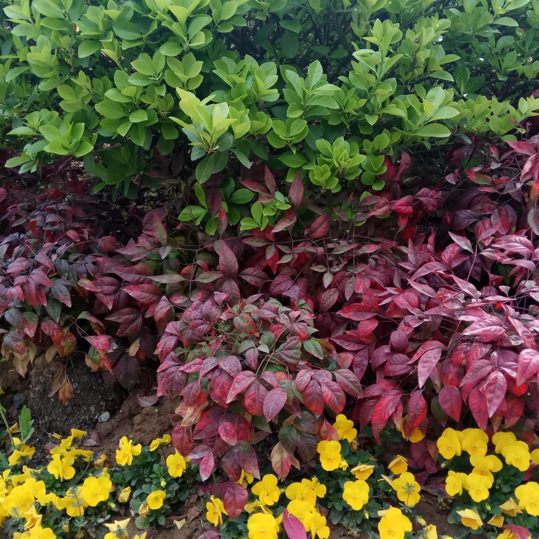 英利阀门五金机电