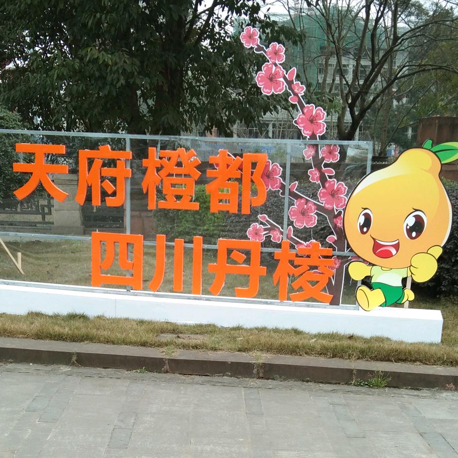 自家果园！四川丹棱丑桔！一件都是批发价