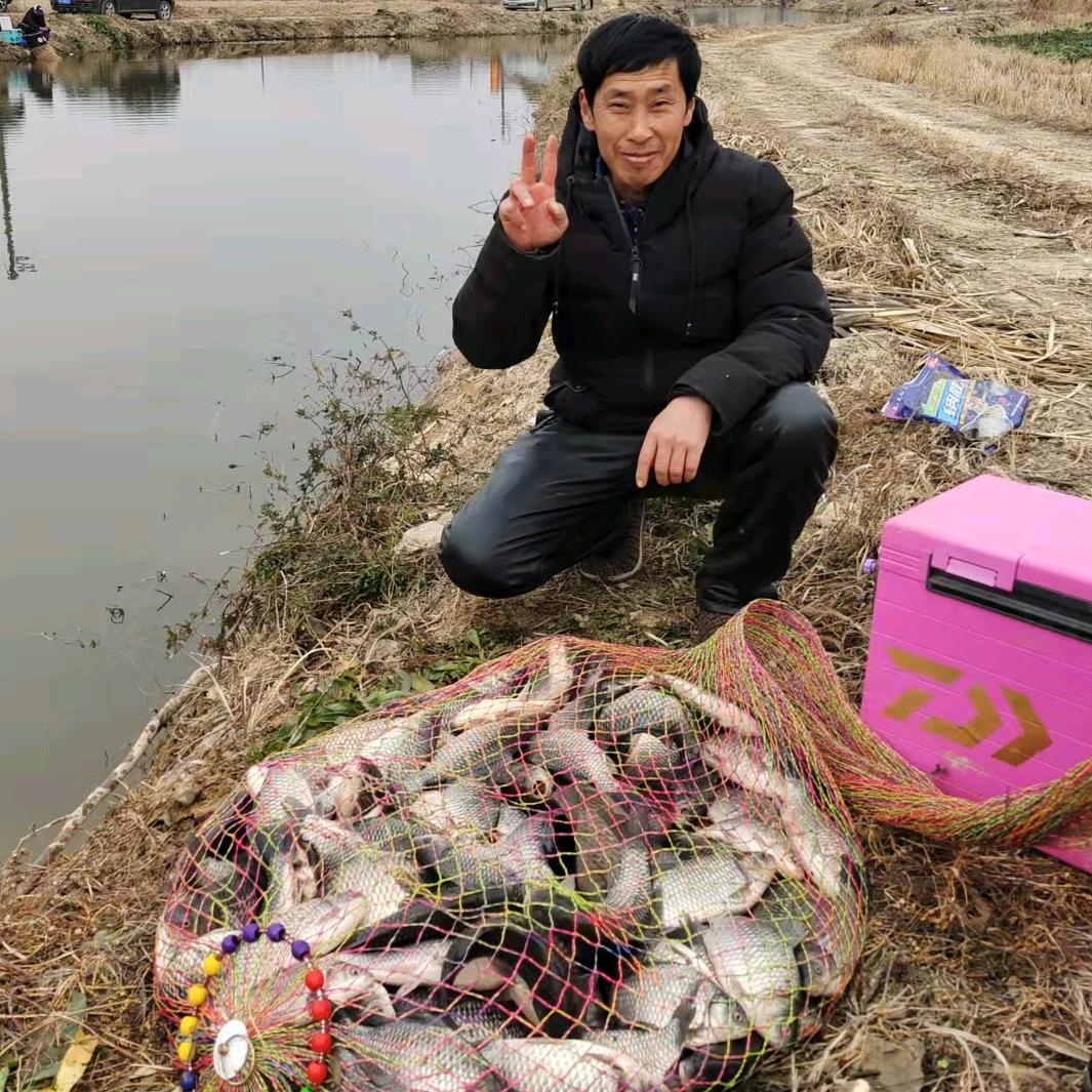 欧哥渔具【臭鱼饵钓鲶鱼为巨物而生】