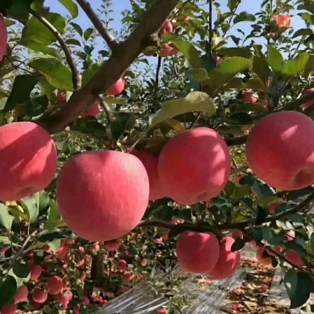 好运当头