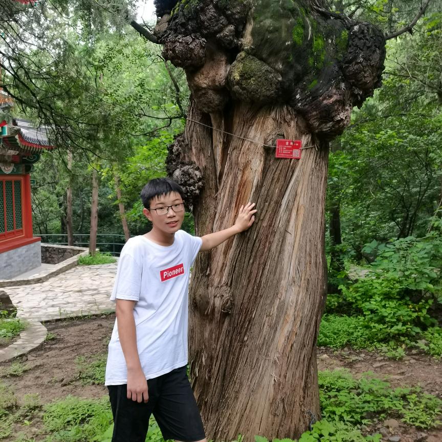 季军，专业室内装修设计