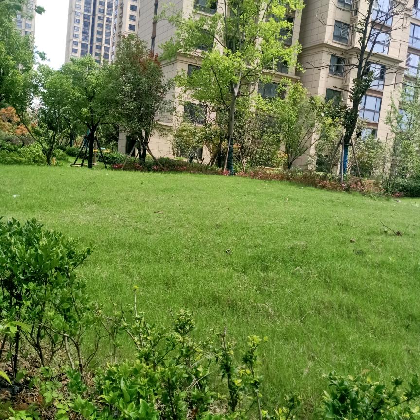 你好       吗