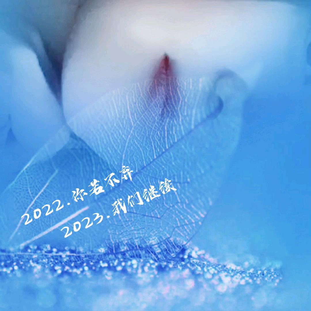 希里衣橱印象里