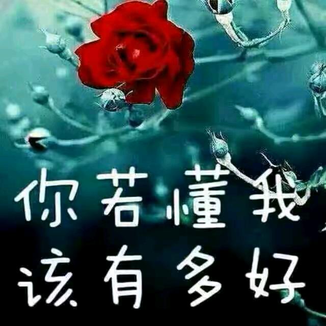 四川凉山！阿衣莫