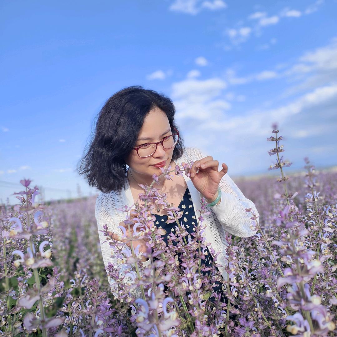 紫苏红