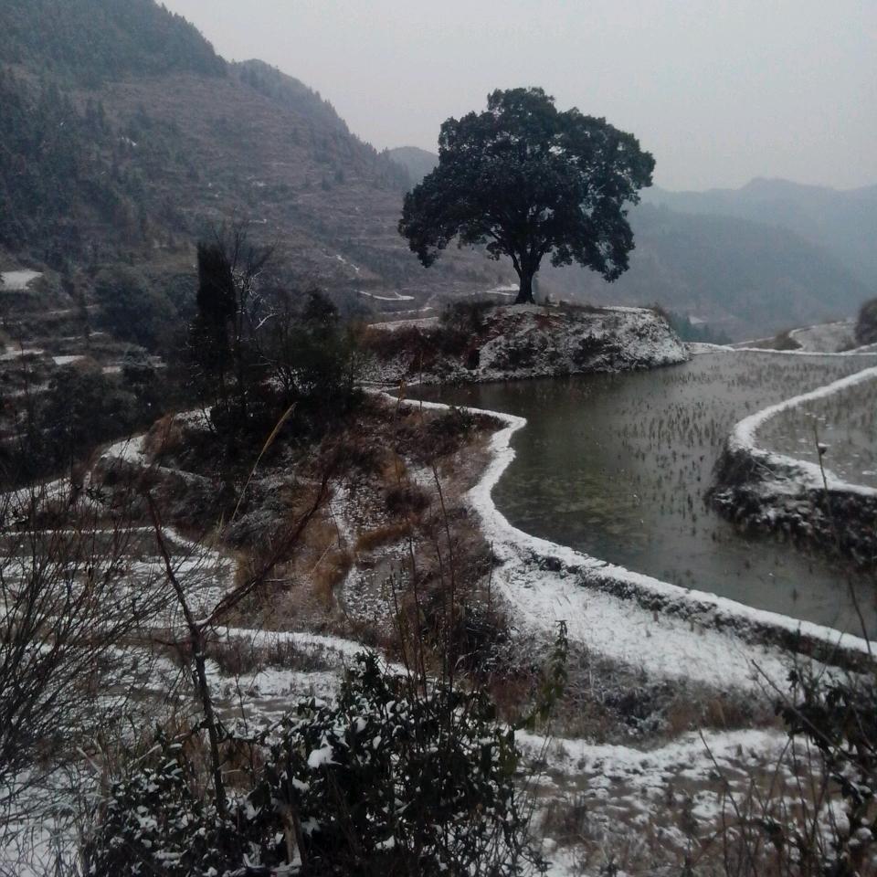 贵州铜仁鲜牛肉一哥，诚信为本， 合作共赢