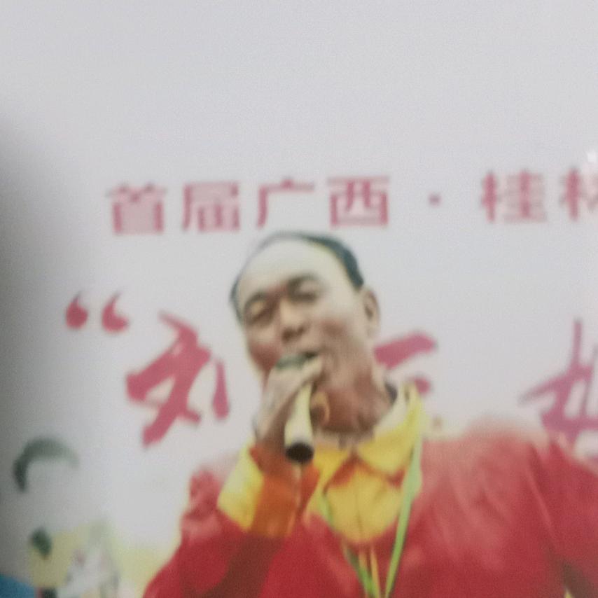 青松不老