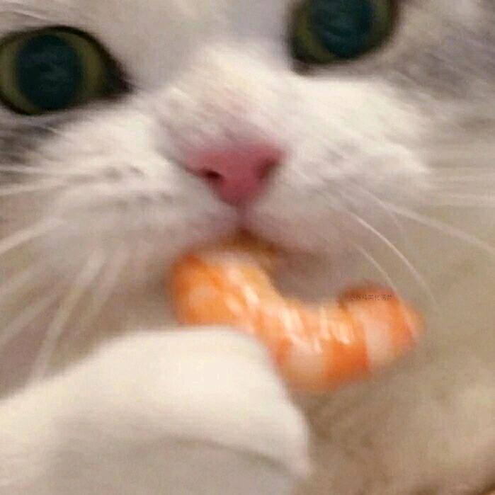 是鹤清吖！