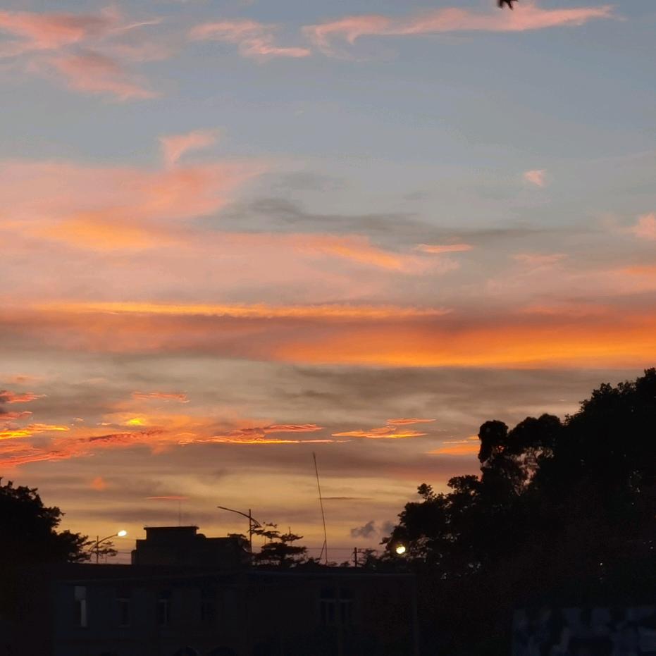 广东最后的纯情🌗