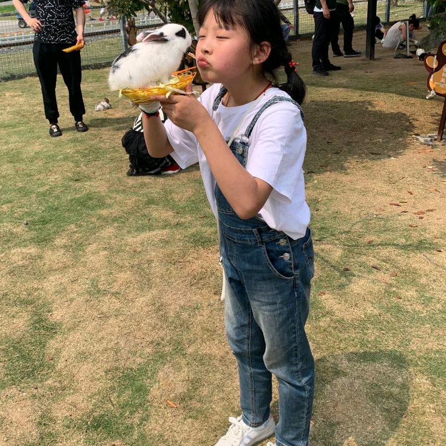 大梅