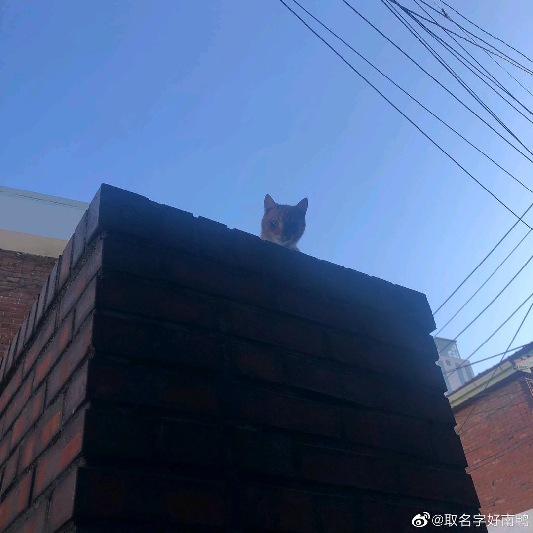 謝 迟