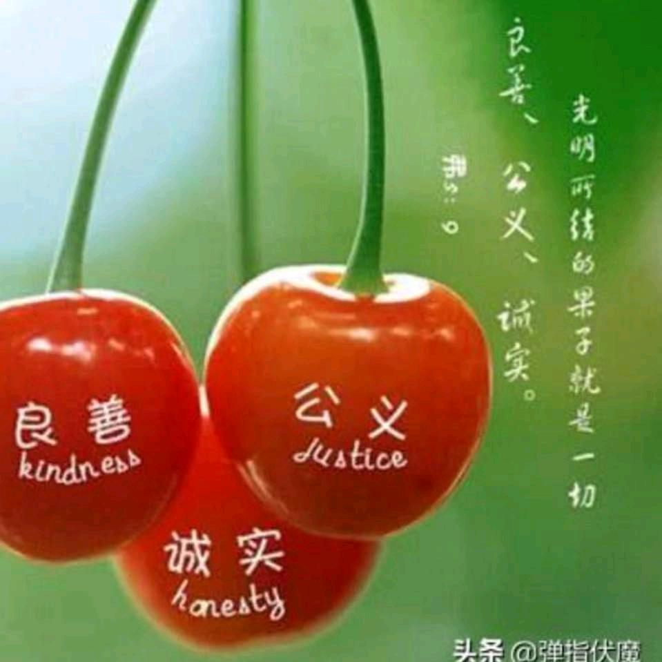 WENXIN558