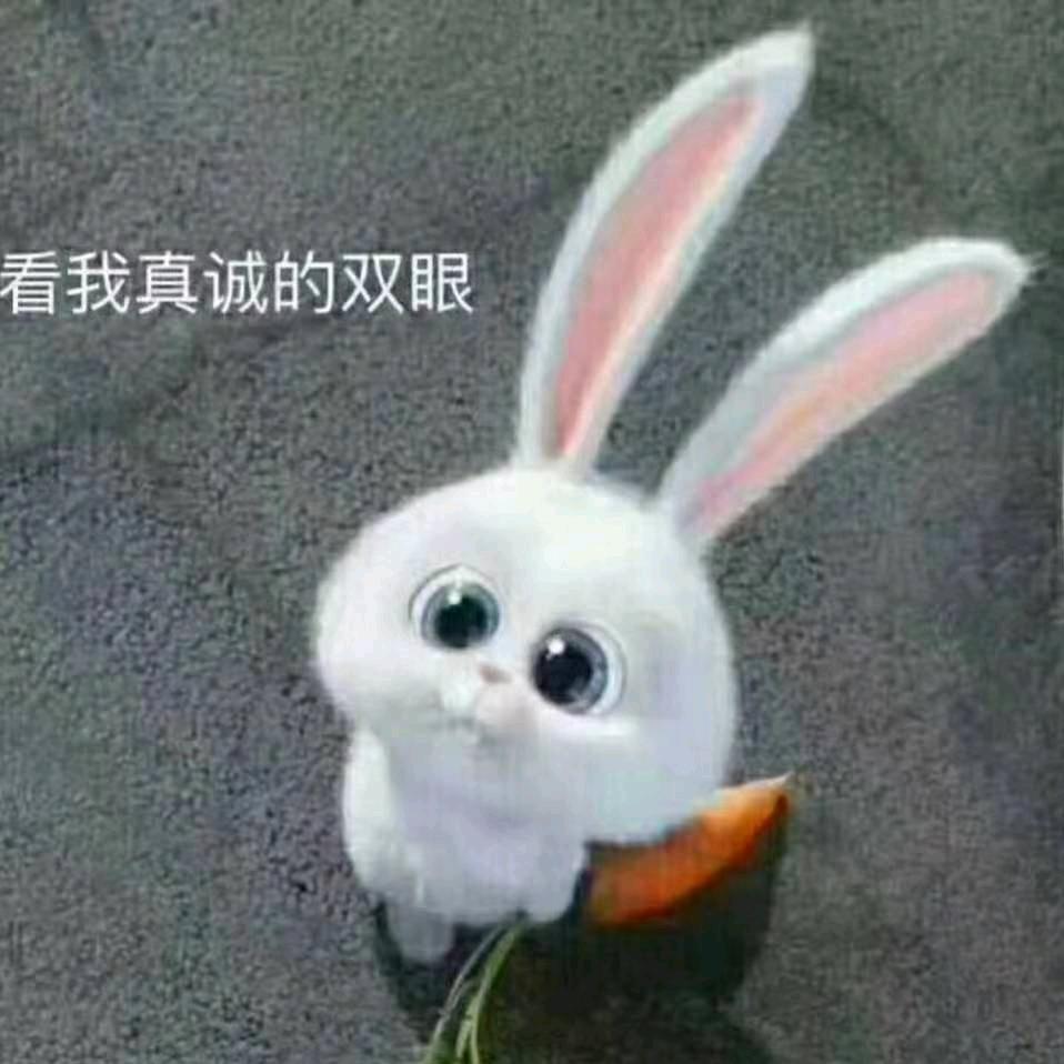💖做自己的幸福💖