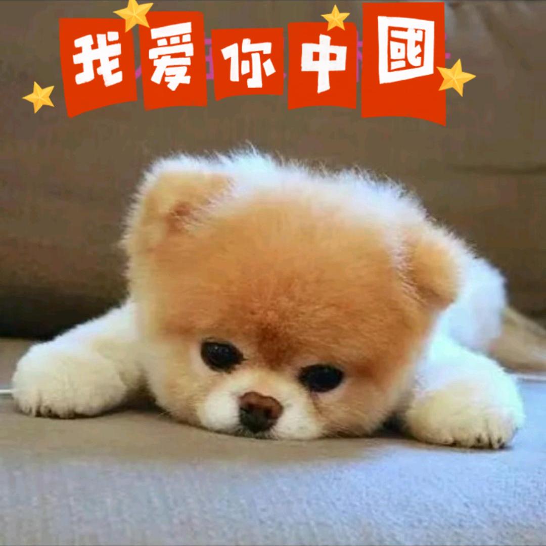 空口无凭