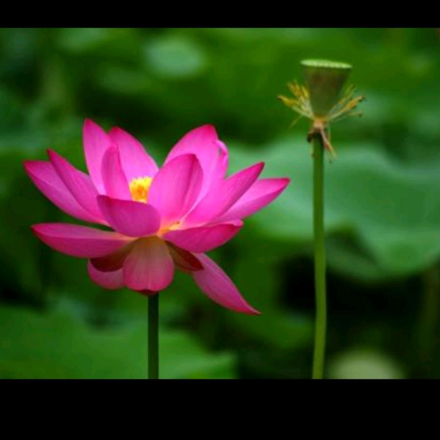 🐇🧛‍♂️এ᭄旭日☀️董升🌅