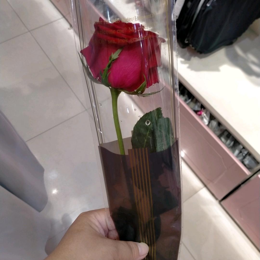 💞ღ᭄敏ঞ᭄༊🍬