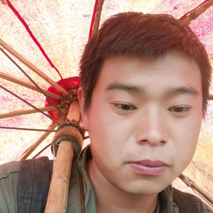 专业养殖黑山羊小