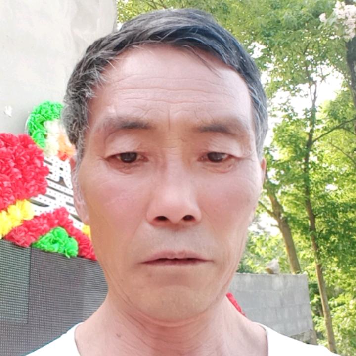 小龙哥杨