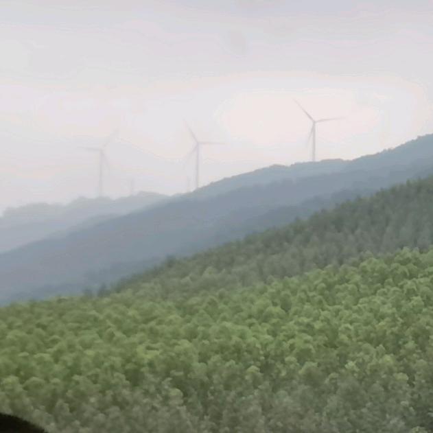 大哥丨