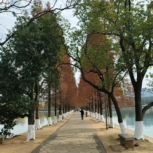 容姐姐