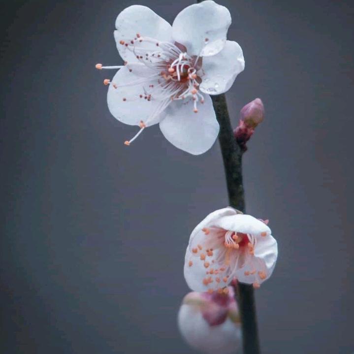 阳光温暖