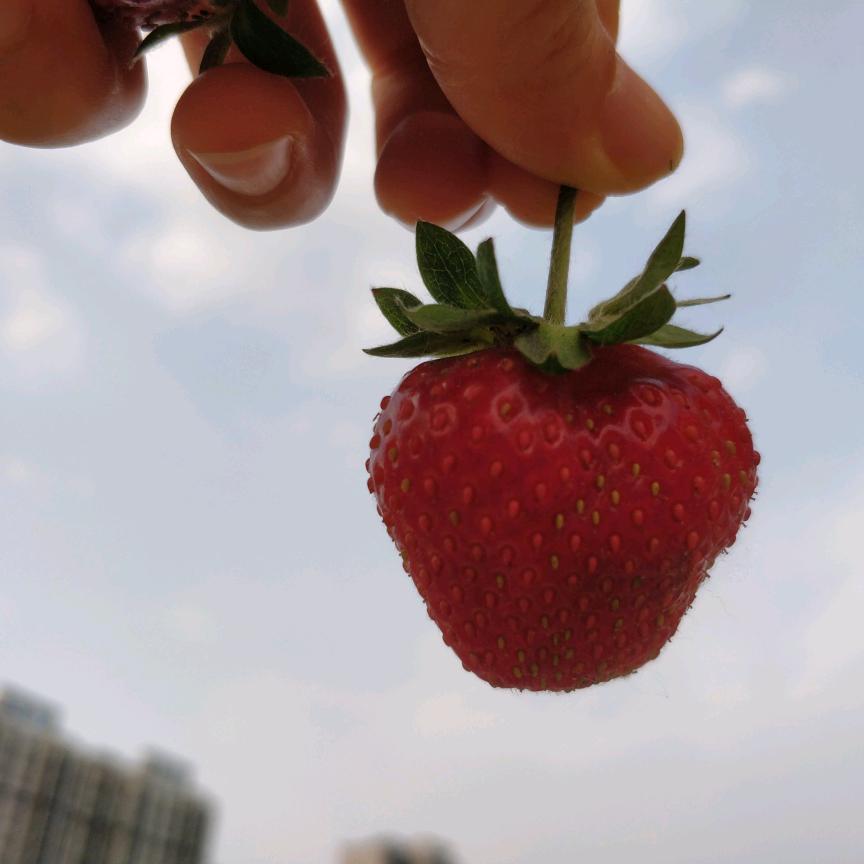 𝙎𝙞𝙢𝙥𝙡𝙮 🫧