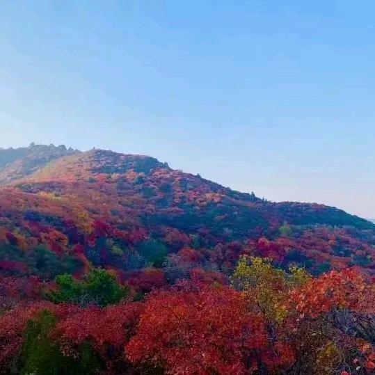 赵城
