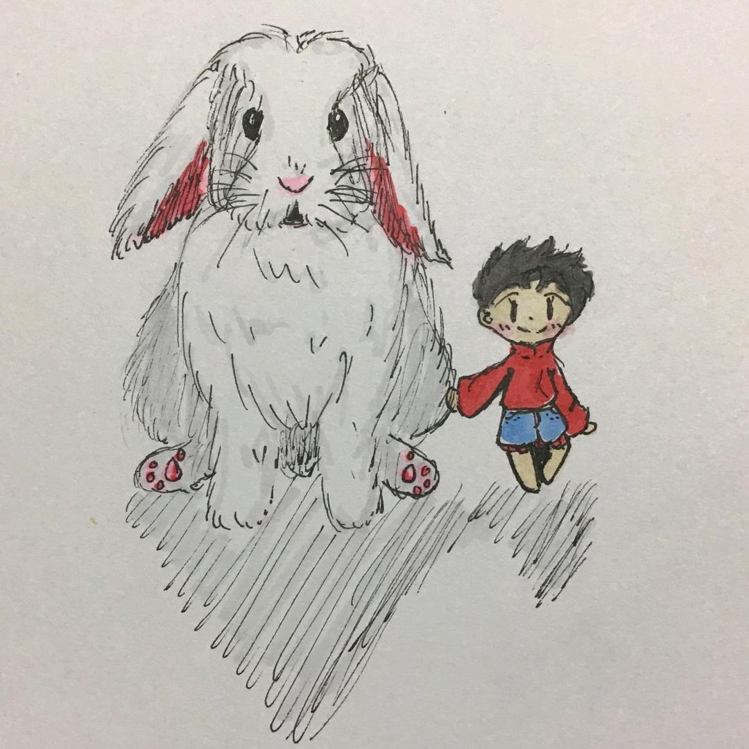 哈维是兔子