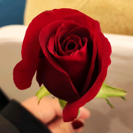 抗震支架厂家   张