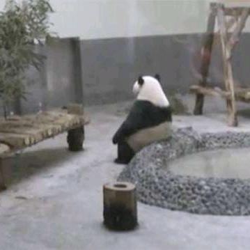 小门天使