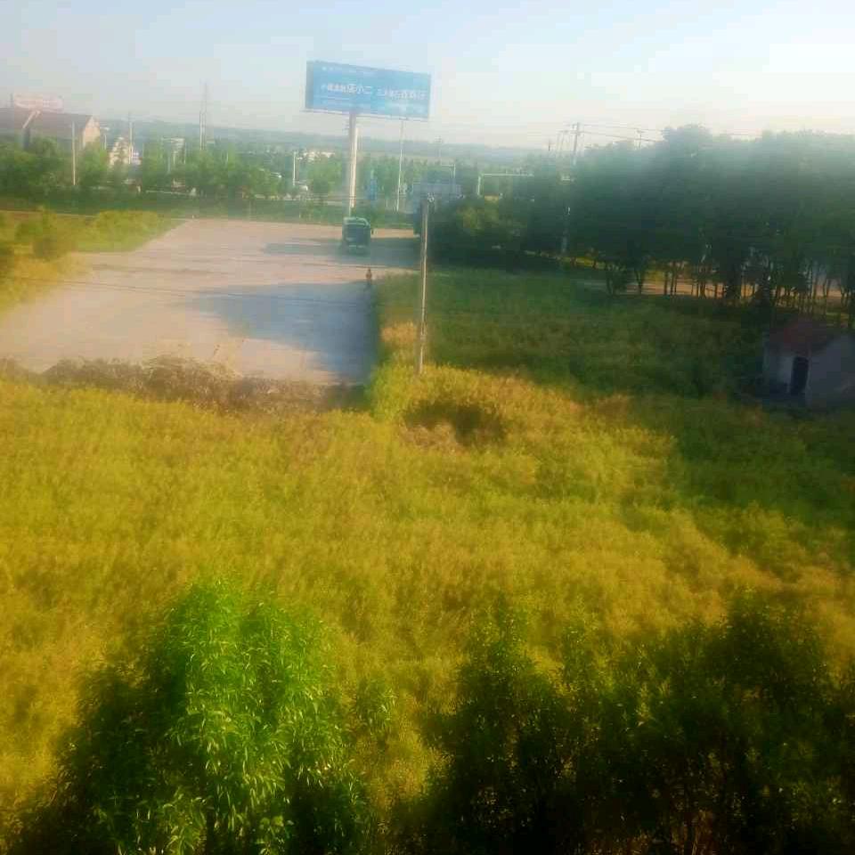 心向阳$$$