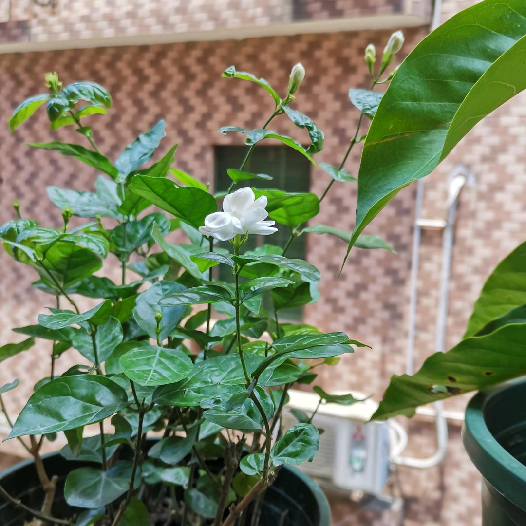 我是快乐的人生