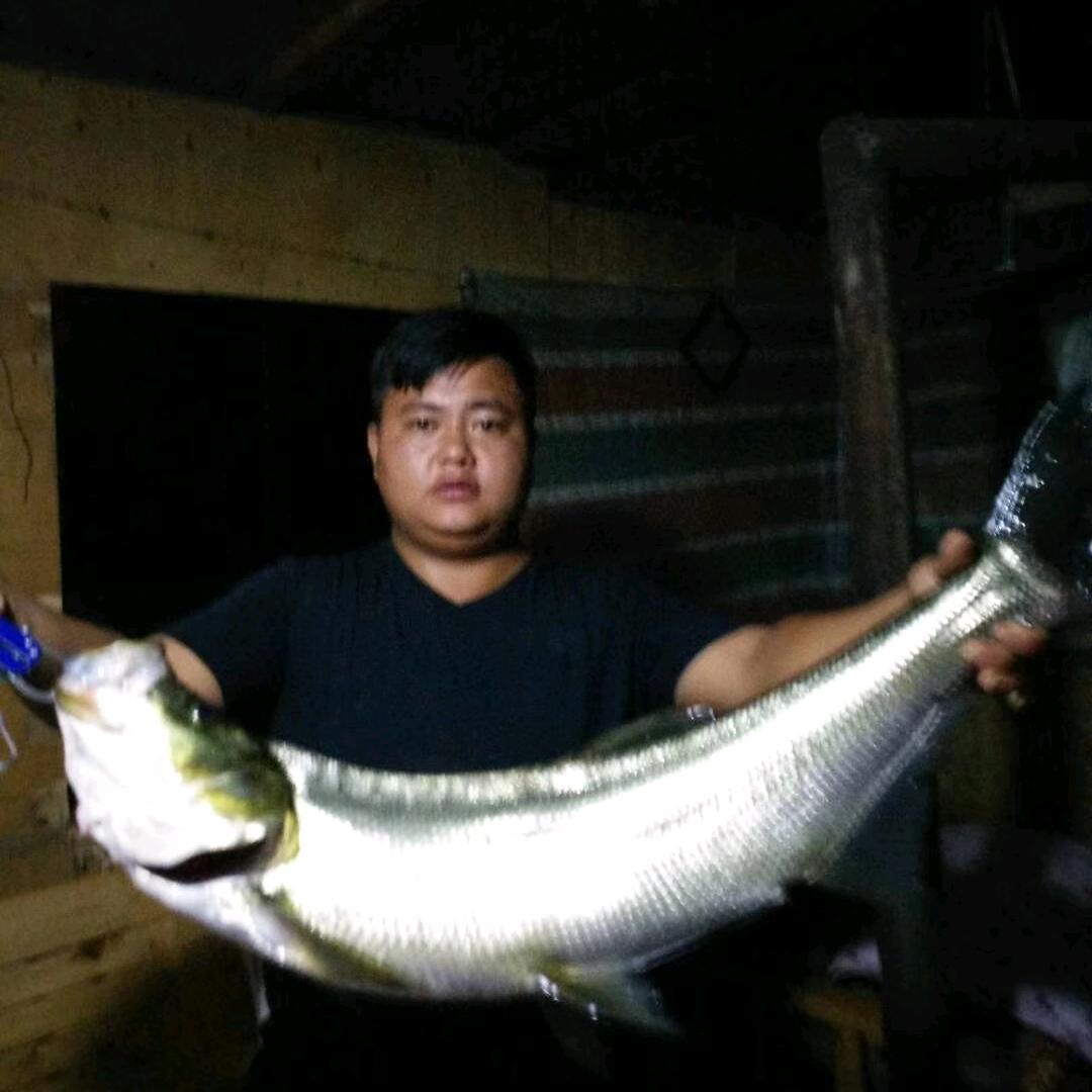 江龙家休闲垂钓接待