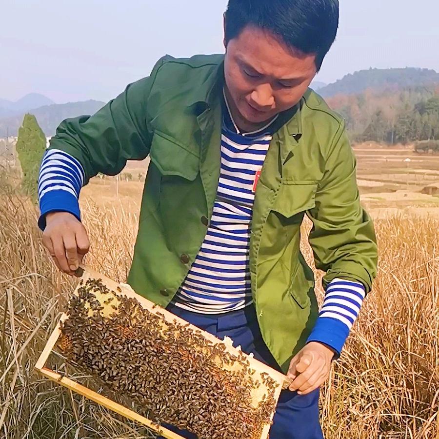 清哥养蜂