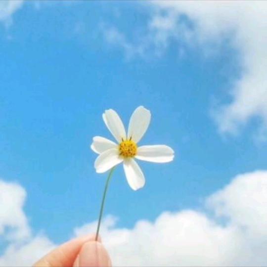 喂喂喂❤