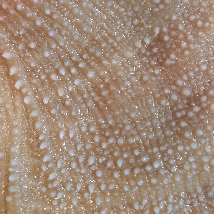 匠厨食材：主营（火锅，中餐，酒店，海鲜，