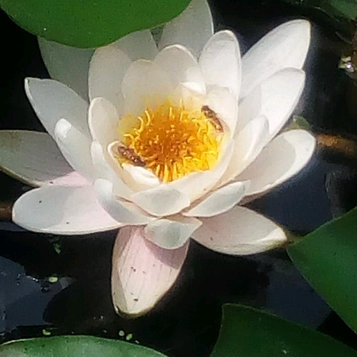烟花3