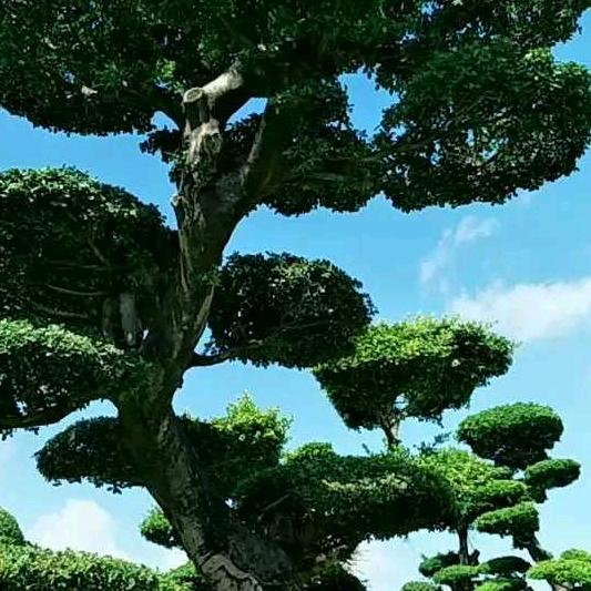 生财之道