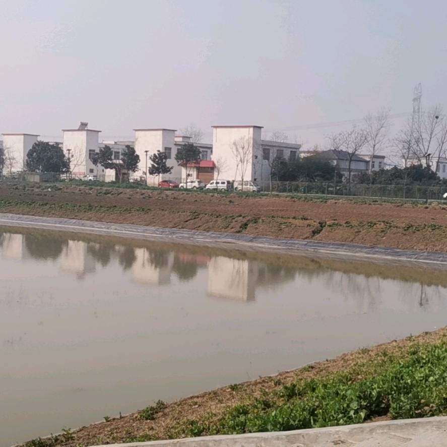 我路过你们继续