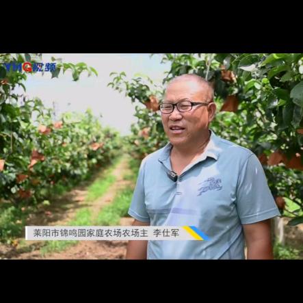 莱阳.谭秋月.李书记
