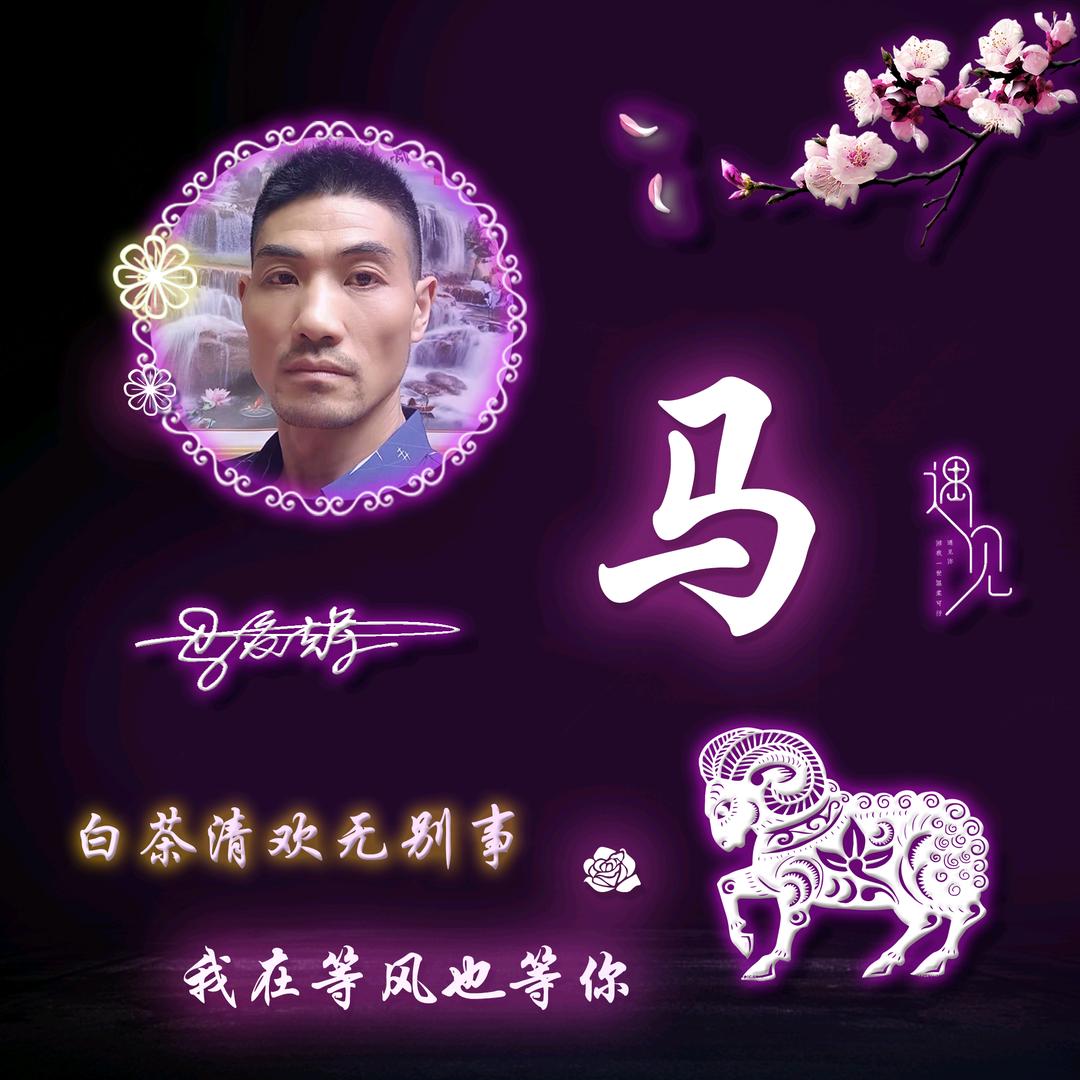 鳄鱼王子