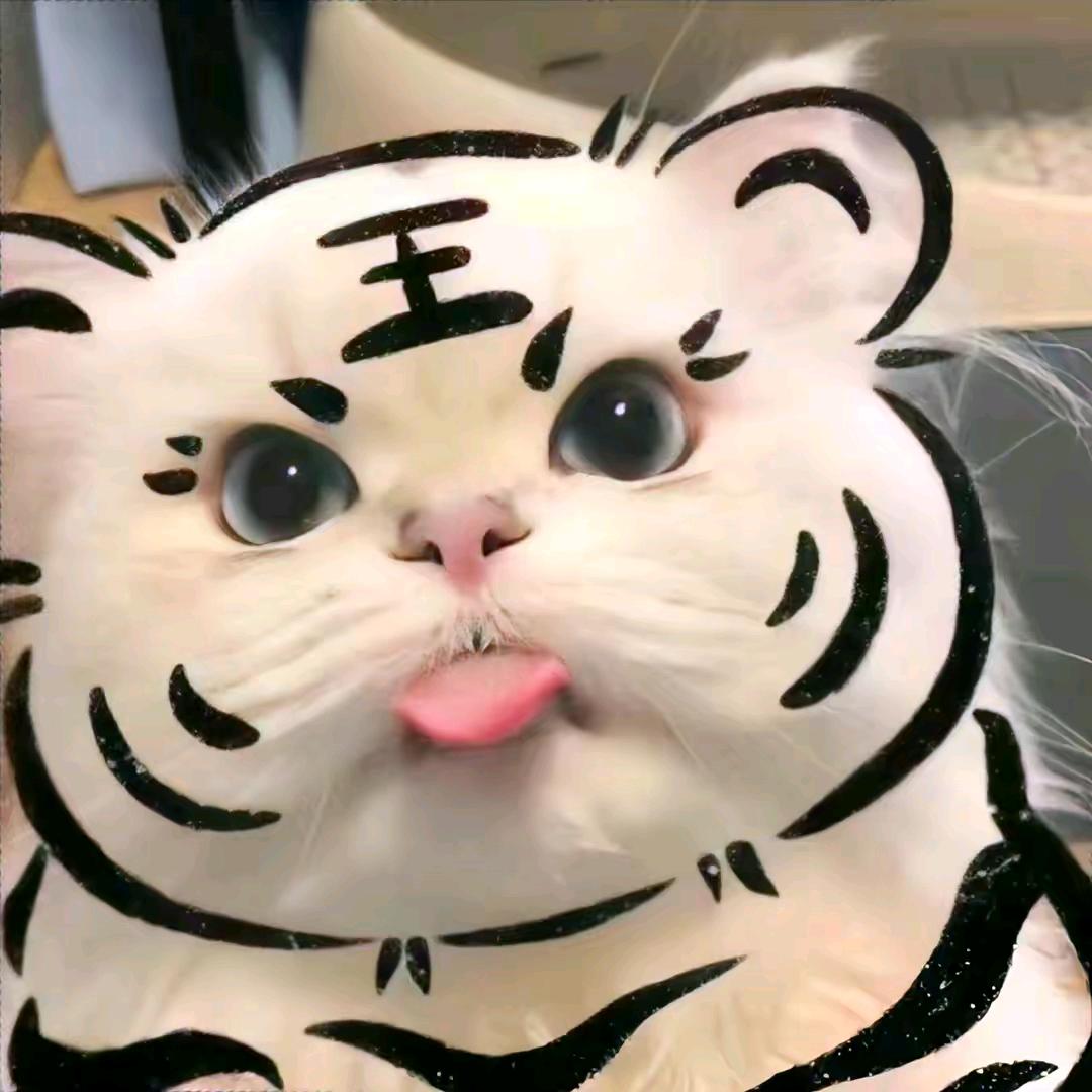 楠希