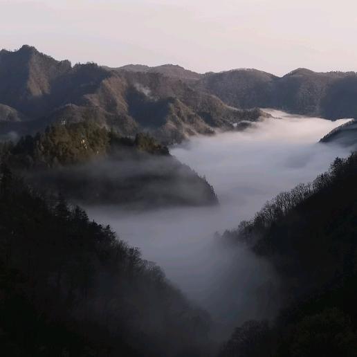 潇洒人生_173490872